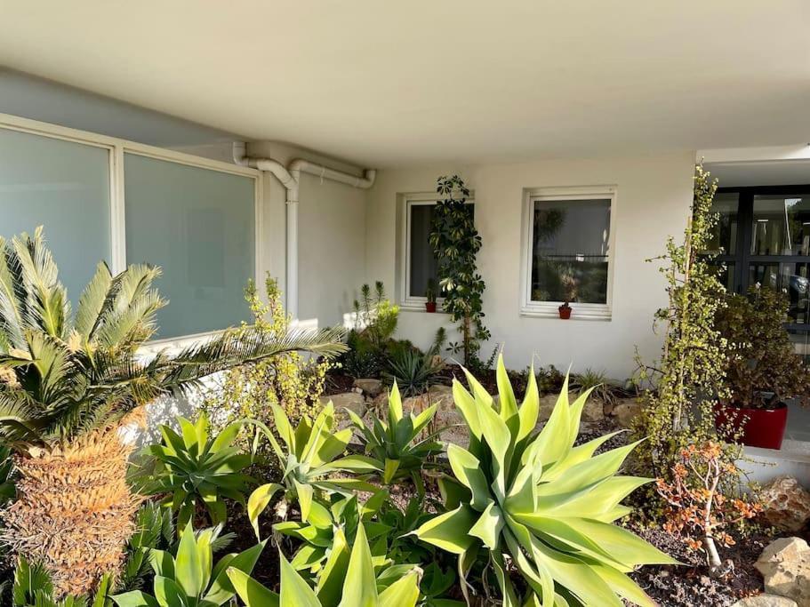 21 - Tres Agreable Rdc Avec Terrasse Et Parking Διαμέρισμα Bandol Εξωτερικό φωτογραφία