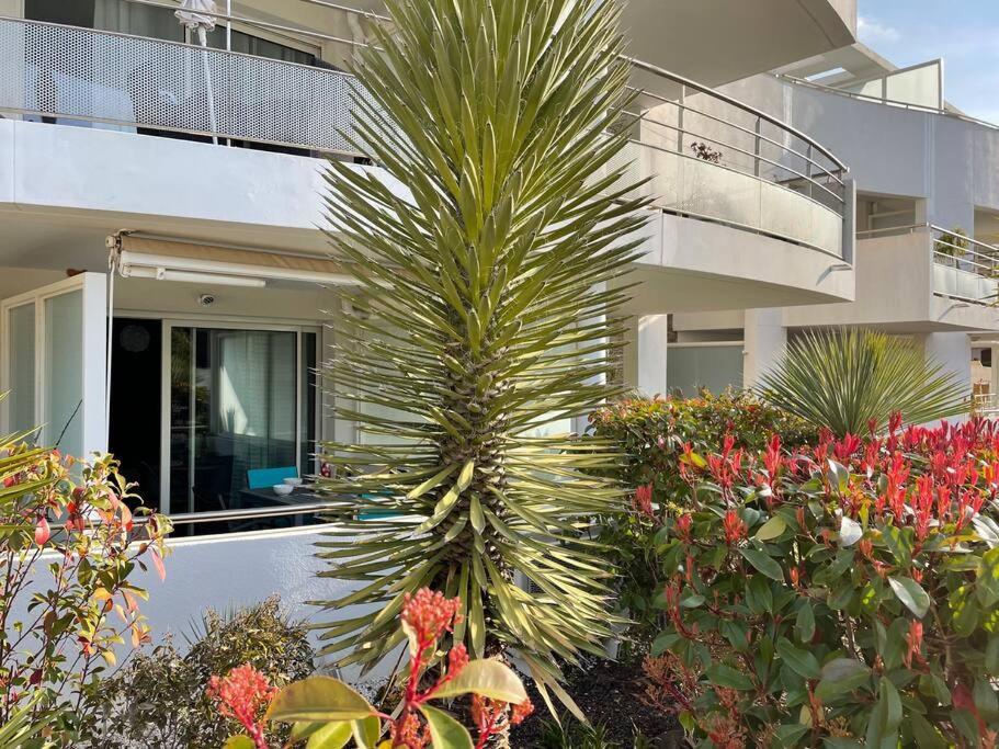 21 - Tres Agreable Rdc Avec Terrasse Et Parking Διαμέρισμα Bandol Εξωτερικό φωτογραφία