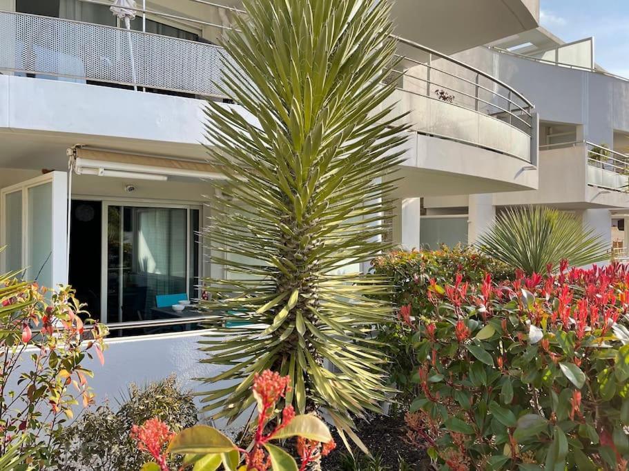 21 - Tres Agreable Rdc Avec Terrasse Et Parking Διαμέρισμα Bandol Εξωτερικό φωτογραφία