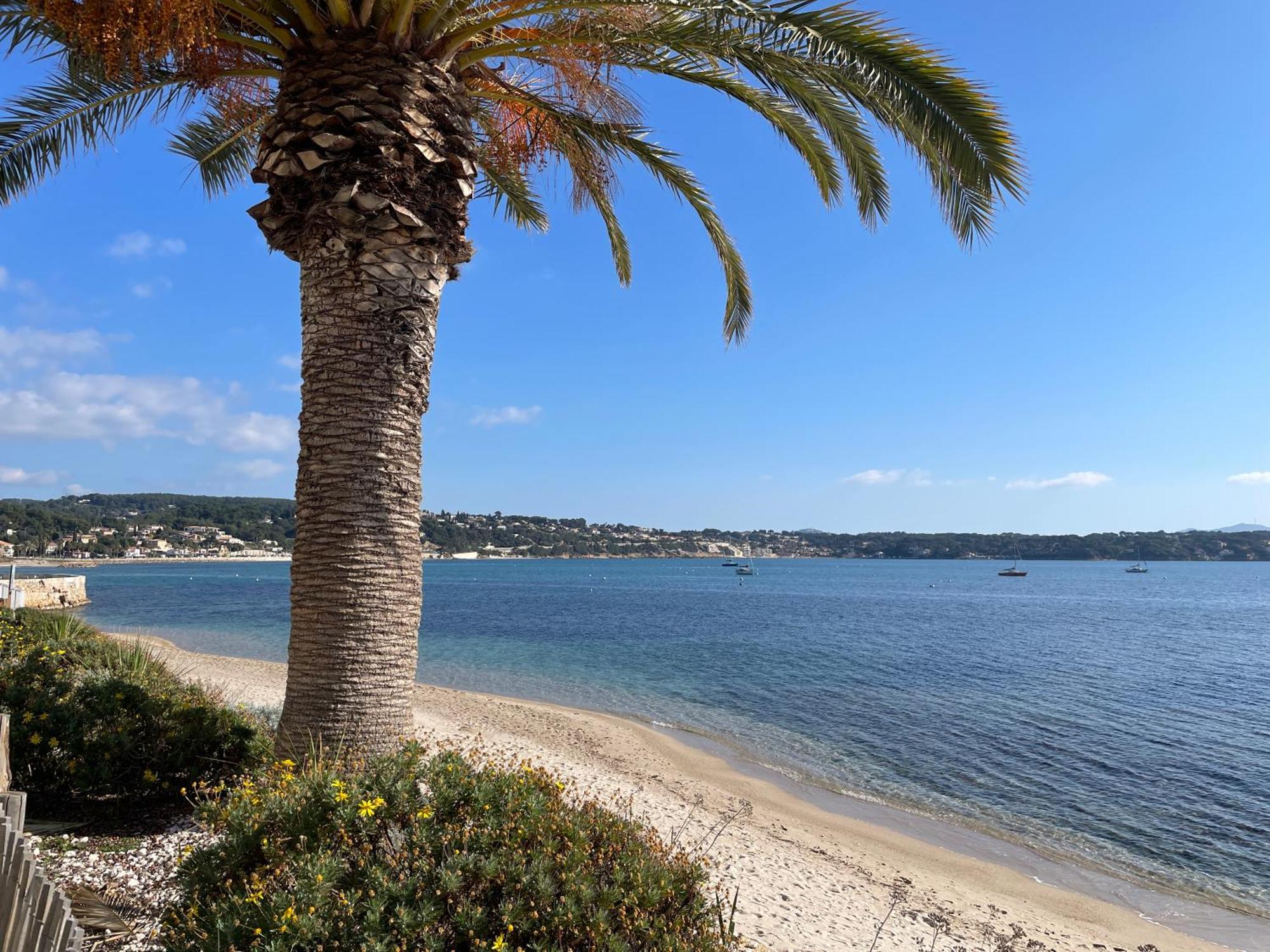 21 - Tres Agreable Rdc Avec Terrasse Et Parking Διαμέρισμα Bandol Εξωτερικό φωτογραφία